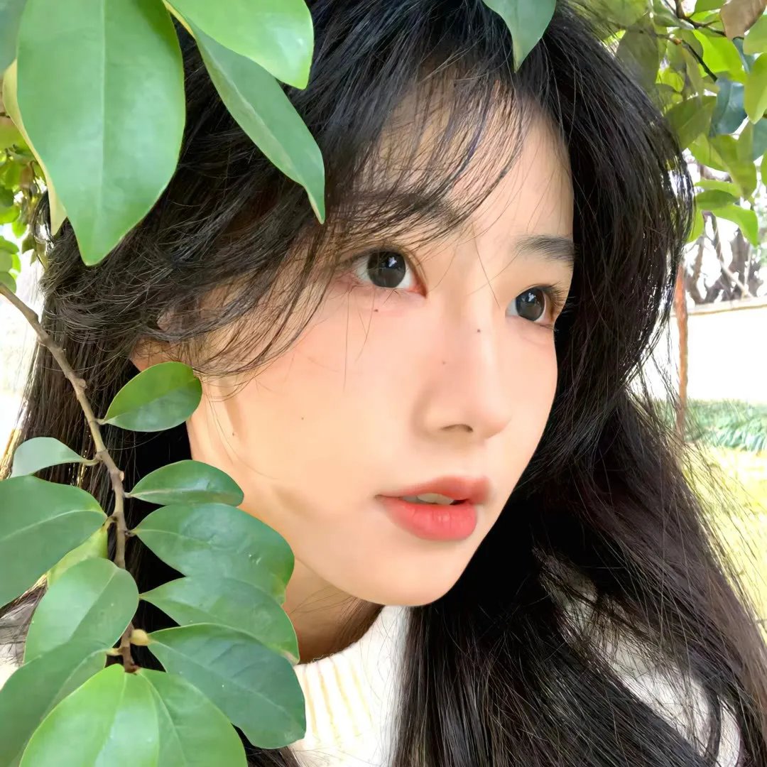 变化的季节海报